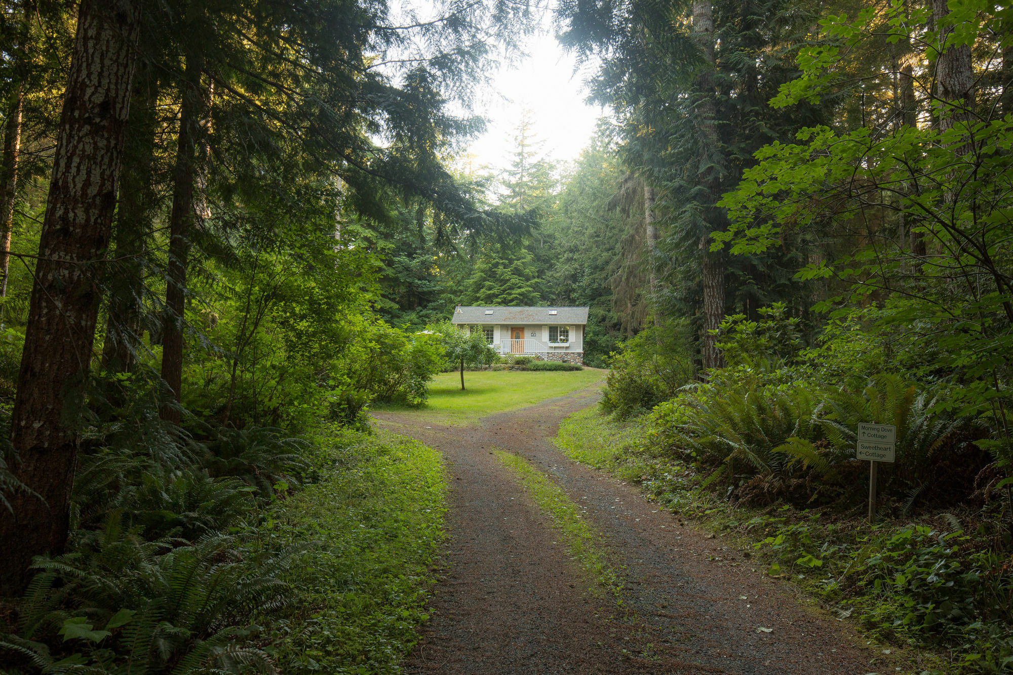 A Hidden Haven Cottages Port Angeles Ngoại thất bức ảnh